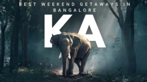 Tempo-Traveller-Booking-in-Bangalore-for-Weekend