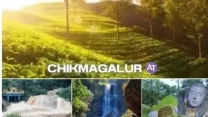 mini bus rental in bangalore for Chikmagalur from bangalore